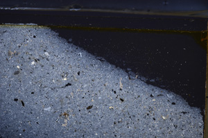 Cross Polarized, E36630