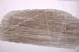 Plane Polarized, E36669