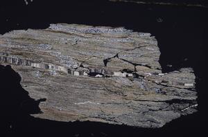 Cross Polarized, E36671