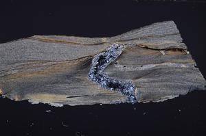 Cross Polarized, E36673