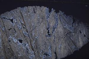 Cross Polarized, E36691