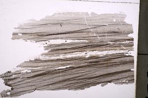 Plane Polarized, E36694