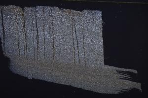 Cross Polarized, E36713