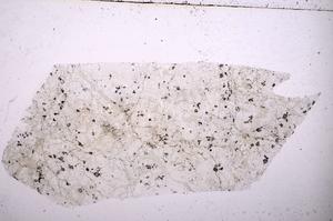Plane Polarized, E36726