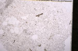 Plane Polarized, E36753