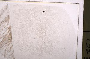 Plane Polarized, E36777