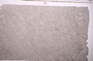 Plane Polarized, E36810