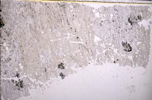 Plane Polarized, E36827