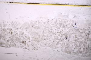 Plane Polarized, E36831