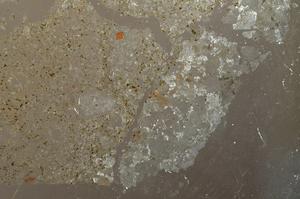 Plane Polarized, E36893