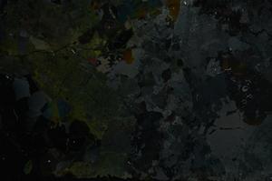 Cross Polarized, E36894