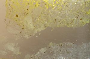 Plane Polarized, E36895