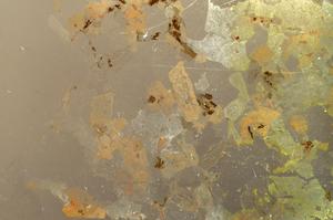 Plane Polarized, E36896