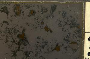 Plane Polarized, E36902