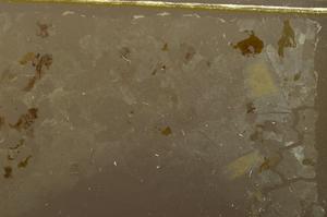 Plane Polarized, E36919