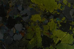 Cross Polarized, E36924