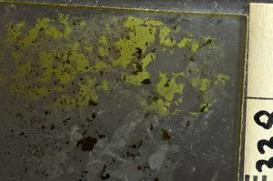 Plane Polarized, E36931