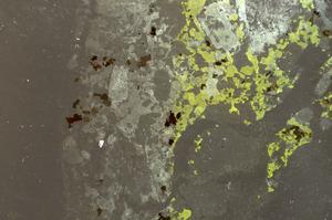 Plane Polarized, E36934