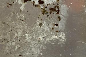 Plane Polarized, E36937