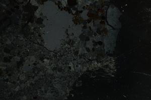 Cross Polarized, E36937
