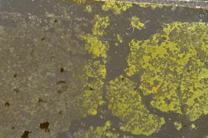 Plane Polarized, E36939