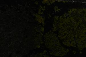 Cross Polarized, E36939