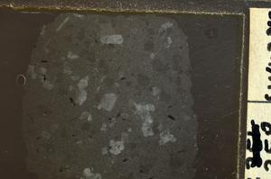 Plane Polarized, E36980