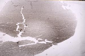 Plane Polarized, E37142