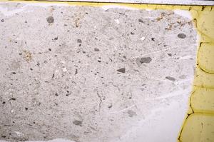 Plane Polarized, E37170