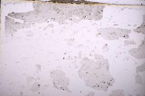 Plane Polarized, E37205