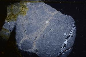 Cross Polarized, E37211