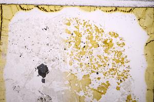 Plane Polarized, E37261