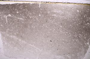 Plane Polarized, E37322