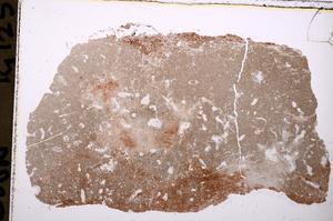 Plane Polarized, E37363