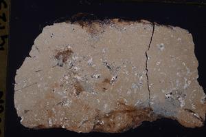 Cross Polarized, E37363