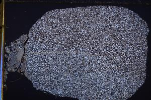 Cross Polarized, E37364