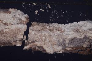 Cross Polarized, E37365