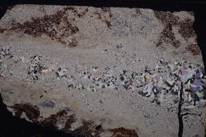 Cross Polarized, E37366