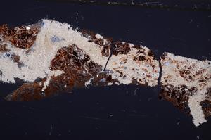 Cross Polarized, E37367