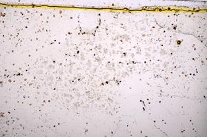 Plane Polarized, E37386