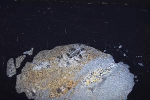 Cross Polarized, E37399
