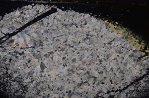 Cross Polarized, E37403