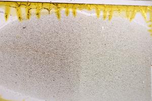 Plane Polarized, E37444