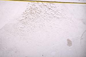 Plane Polarized, E37596