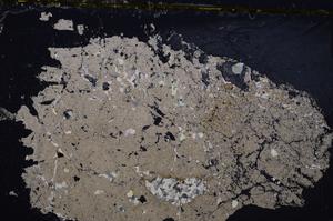 Cross Polarized, E37685