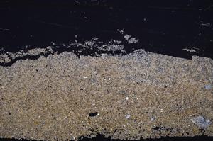 Cross Polarized, E37698