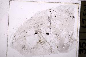 Plane Polarized, E37713
