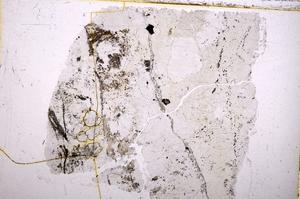 Plane Polarized, E37715