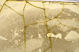 Plane Polarized, E37724