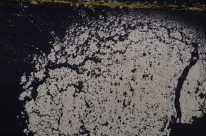 Cross Polarized, E37729